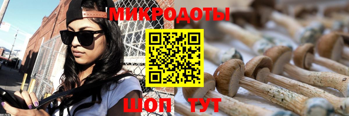 Гай  Галлюциногенные грибы Magic Shrooms  где купить наркоту  Вход с VPN 