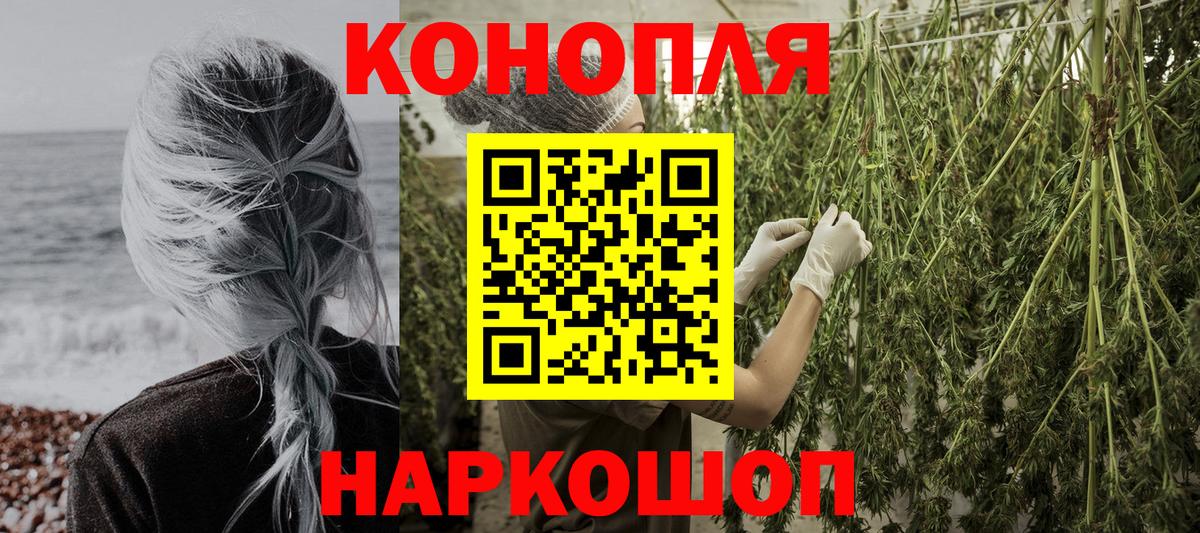 Бошки марихуана индика Гай